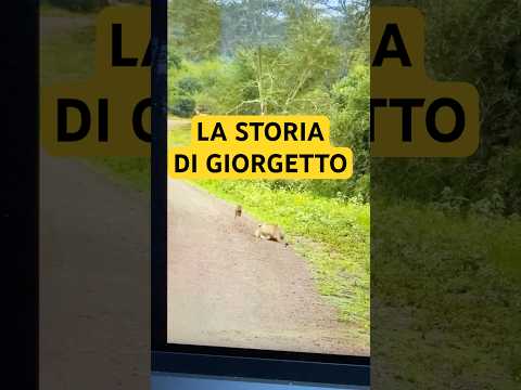 Un tragico errore