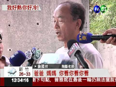 陶瓷鳥太逼真 白鴿踩背"性侵"