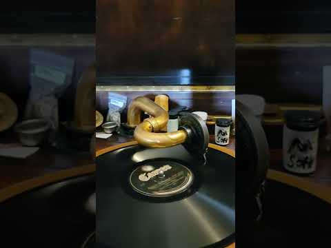 Back in Hackensack, New Jersey - Arthur Lange his Orchestra Cameo Records #558 1924