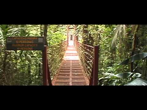 Monteverde Cloud Forest Biological Reser