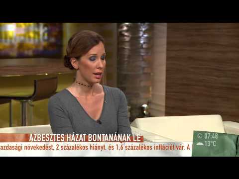 Életveszélyes azbeszt kerülhet a pécsi levegőbe? - 2015.06.24. - tv2.hu/mokka