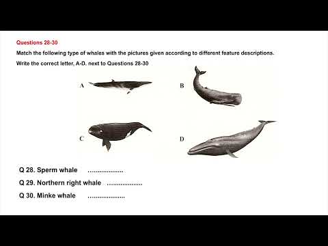 North Residency Questionnaire | Test 6 | IELTS LISTENING PRACTICE  (explained answers)