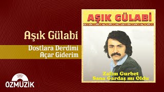 Dostlara Derdimi Açar Giderim - Aşık Gülabi (Official Video)