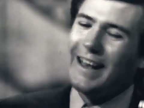 I Fought the Law - Bobby Fuller Four (1966) (Extended Stereo Video Edit 2024)