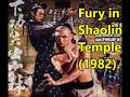 Fury In The Shaolin Temple 1979 Uncut Version Movie Review