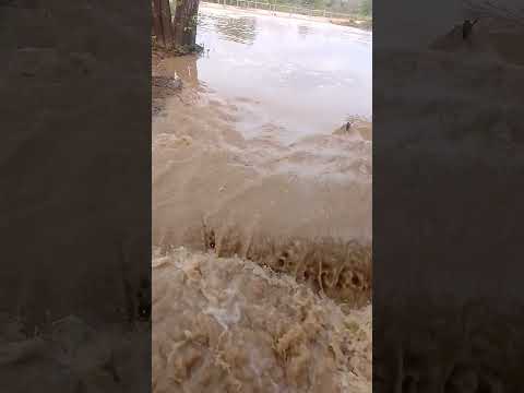 19/11/2025/ Muita chuva, curral de fora, água fria Ba