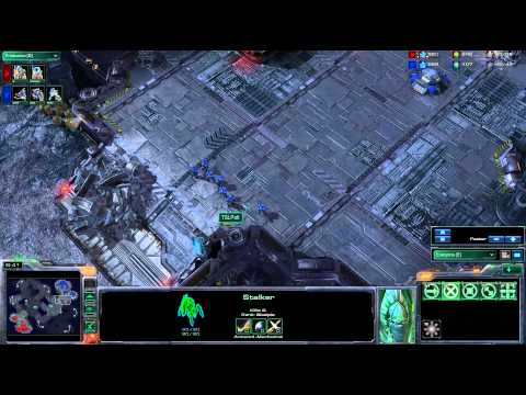 Liquid.Hero v TSL.Polt g2 [Assembly ASUS ROG Ro8]