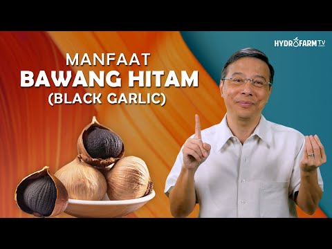 , title : 'MANFAAT BAWANG HITAM UNTUK KESEHATAN'