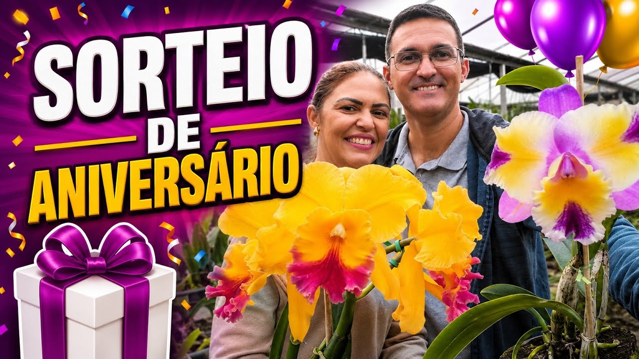 Vídeo do produto