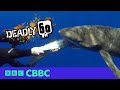 TOP 5 Deadliest Moments ️ Deadly 60 CBBC