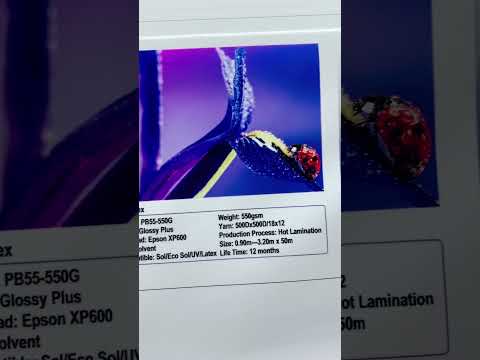 Hot Laminated Backlit Flex 510gsm