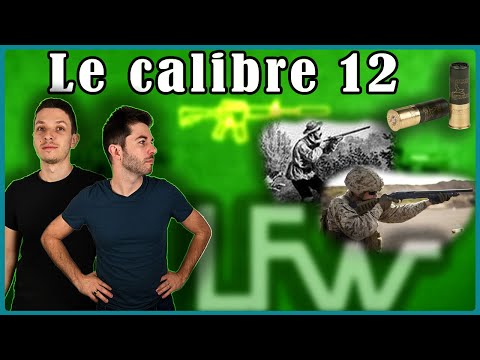 The 12 gauge: BEST GAUGE AND THAT'S ALL!