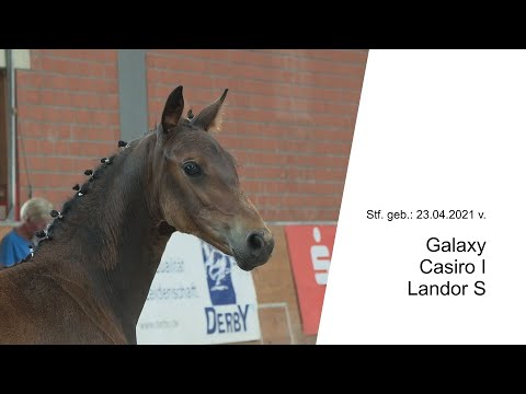 Stf v Galaxy x Casiro I x Landor S 2021