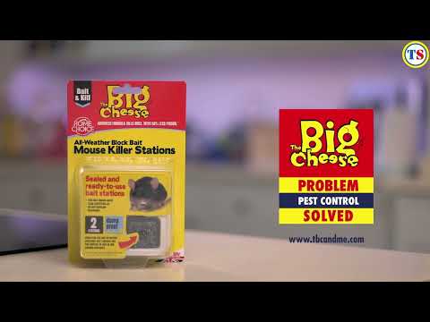 The Big Cheese Block Bait Rodent Killer Station | Toolstation