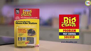 Big Cheese