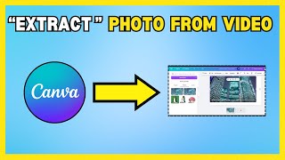 How To Extract Photos From A Video In Canva [NEW METHOD]