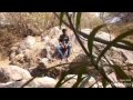 Nee Kosame E Anveshana Song