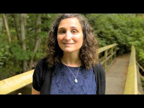 Beyond Brainstorming: Transforming ideas into solutions