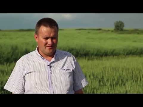 [GAL Podu Înalt] Combina lui Malanca, comuna Bogdanița