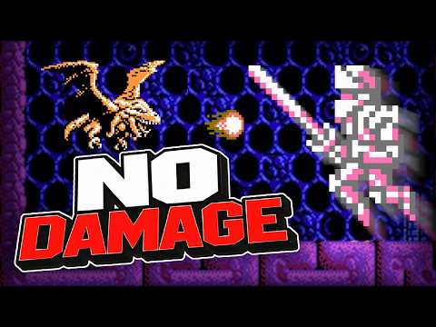 Faxanadu – Hitless Full Playthrough! (FlawlessNES Challenge)