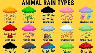Download lagu animals rains types all animals rain explained mp3 Download lagu animals rains types all animals rain explained mp3