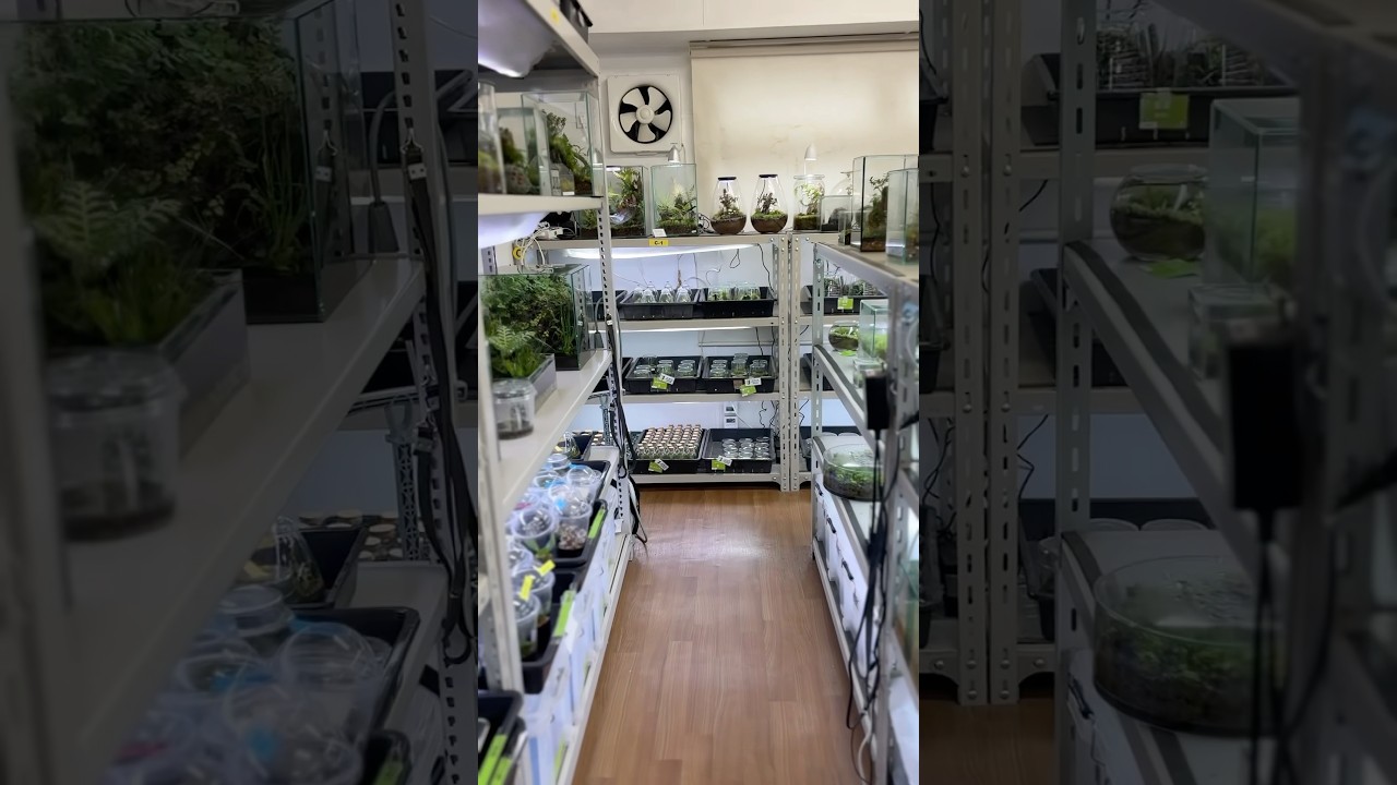 月に一度のアトリエ販売会4月5日11:00〜16:00開催します