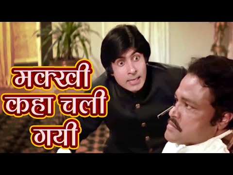 मक्खी कहां गई  Namak Halaal | Best Hindi Comedy Scenes | Amitabh Bachchan - Shashi Kapoor -Om Kapoor