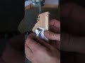 British Columbia's Western Redcedar | Map of Canada's Official Trees ep 4