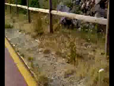 IN DISCESA  ....con web cam  vaiano  PRATO ciclabile