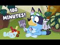 LIVE Time To Have Fun Outdoors ️ 3 HOURS Funniest Playtime Bluey