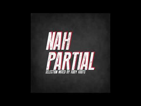 Nah Partial Mix Official | Rudy Roots | Dub Reggae Selection