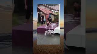 Download lagu VIRAL! VIDEO LUCU ORANG KEPLESET 😭🤣 #shorts #lucu mp3 Download lagu VIRAL! VIDEO LUCU ORANG KEPLESET 😭🤣 #shorts #lucu mp3