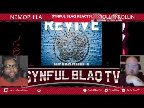 The All Stars are Rollin! Synful Blaq Reacts - NEMOPHILA - Rollin Rollin