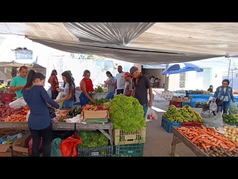FEIRA DE CAETÉS-PE POVO ANIMADO E OS MELHORES PREÇOS 
