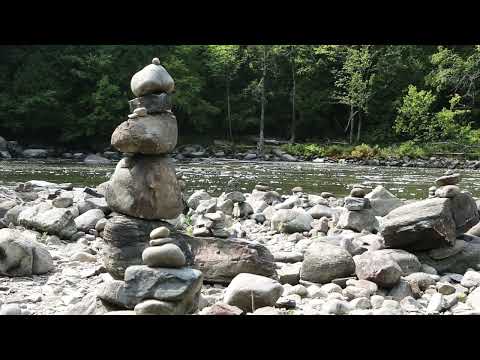 10 Minutos de Paz Interior | Relajación Total con Sonidos Calmantes