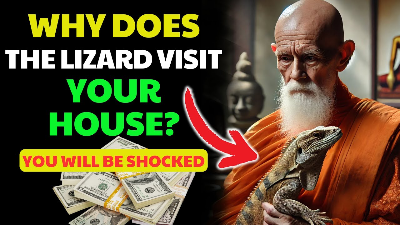The Spiritual Meaning of the Lizard in your House, You'll Be SHOCKED ✨Buddhist Teachings