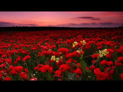 ENIGMATIC MUSIC MIX 29