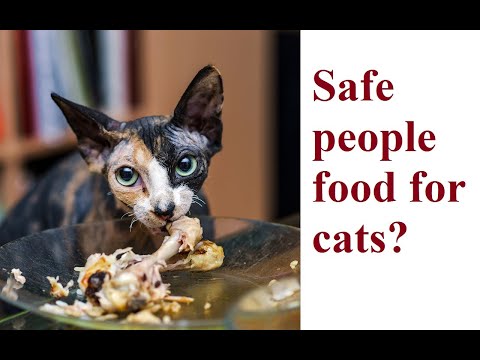 Ask Amy: Safe Table Food for Cats During Thanksgiving, Christmas, and the Holidays