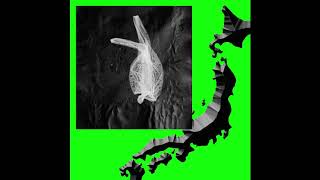 Eagles &amp; Butterflies - SKETCH 1