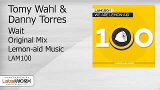 Tomy Wahl & Danny Torres - Wait (Original Mix)