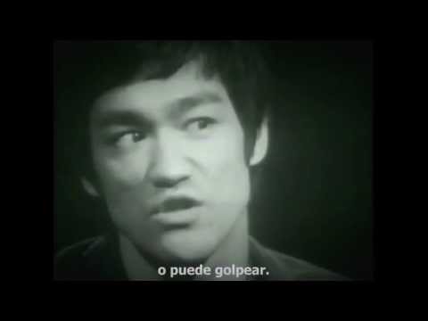 Be water my friend / Sé agua amigo mío