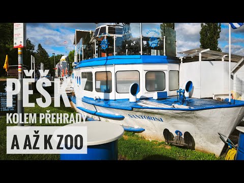 Vlog 20 • 🇨🇿 Ráno u Brněnské přehrady pěšky