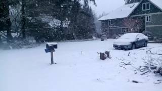 Working day at Marcel lake