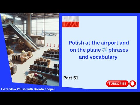 Polish at the airport tickets, and baggage ✈️ phrases and words - At the airport Polish. Part 51