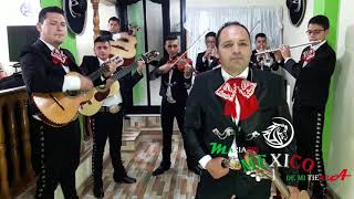 Video de Mariachi México de Mi Tierra