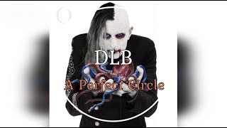 A Perfect Circle - DLB [HQ]