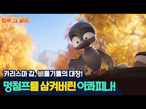 [인투 더 월드] 멍청...이 아니고 비둘기의 대장 멍첨프!