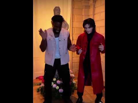 Our Hyunjin tried the Viral African Dance and he slayedd #straykids