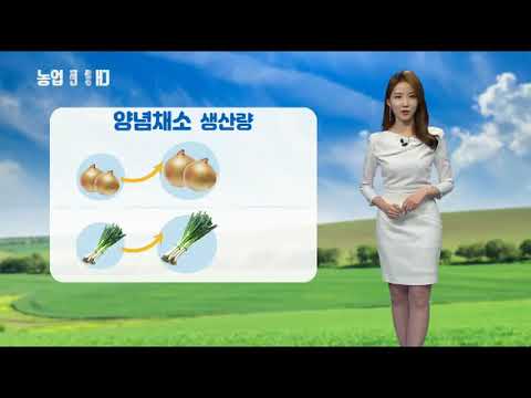 YTN 농업전망대(엽근채소, 양념채소 관측 3월) (2019.03.08.) 이미지