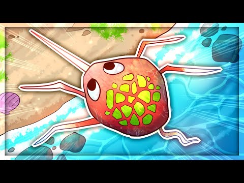 Evolving The PERFECT CREATURE  in Thrive